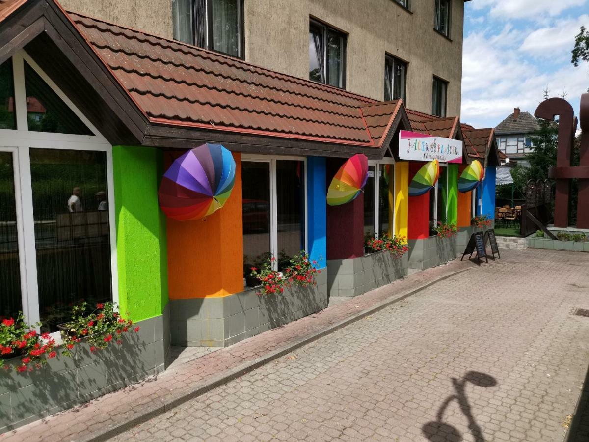 Willa Wolnosc Polanica-Zdrój Exteriör bild